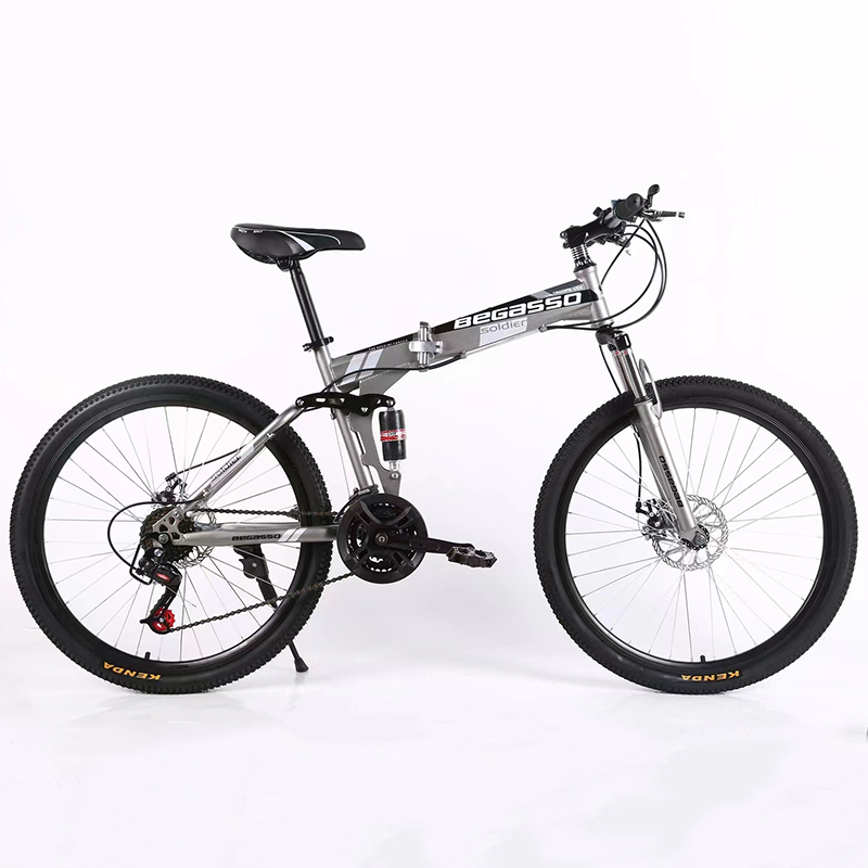 21 Speeds Foldable Bike OEM