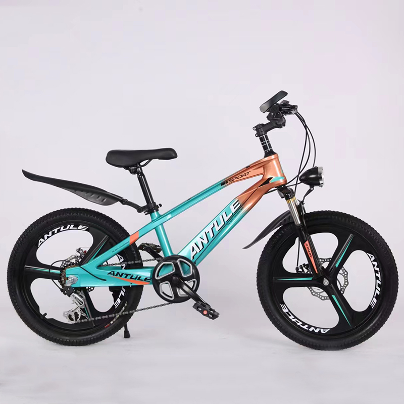 Magnesium Alloy Integrated Children's Bicycle