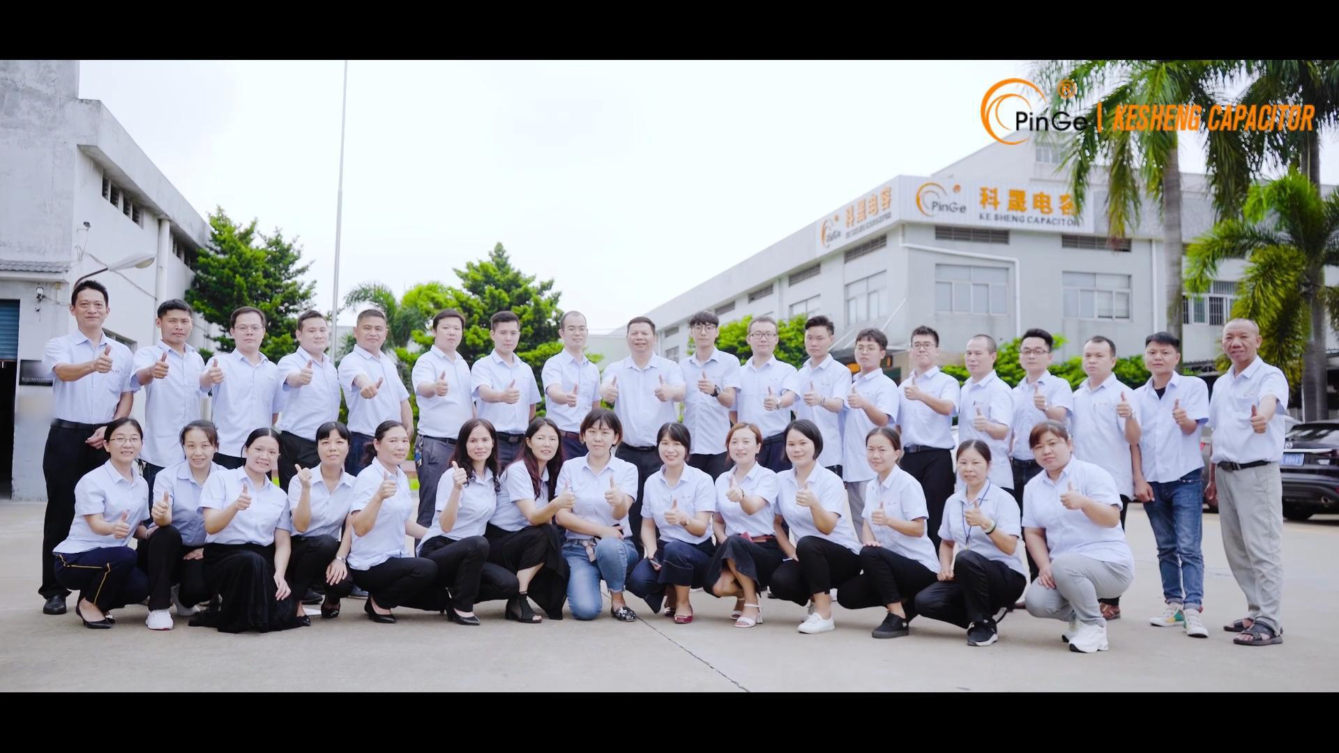 DC Link Capacitor (Pin Type)