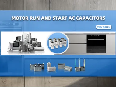 More than 30 years experience in Household appliance capacitor