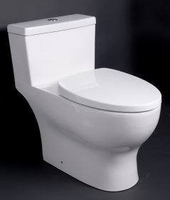 toilet Size：750*425*704mm