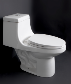 One-piece toilet 24