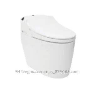 Toilettes intelligentes FHZN1