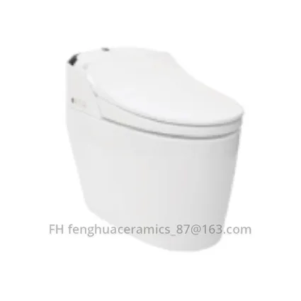 Toilettes intelligentes FHZN1