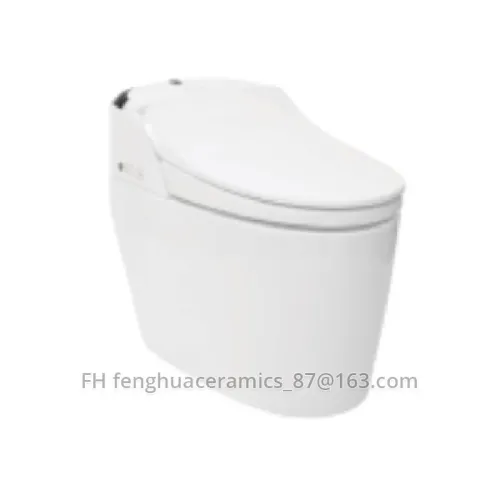 Intelligent Toilet FHZN1