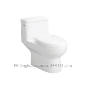 Цельный туалет FHC988