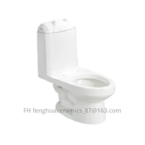 Toilette monobloc FHC1701