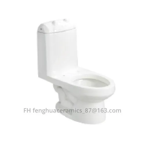 One Piece Toilet FHC1701