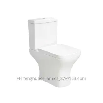 Upc toilettes deux pièces lavage Siphonic 300mm de côté armoire de l'eau de  rinçage unique en céramique sanitaire salle de bain wc - Chine La  porcelaine sanitaire, Salle de bains WC