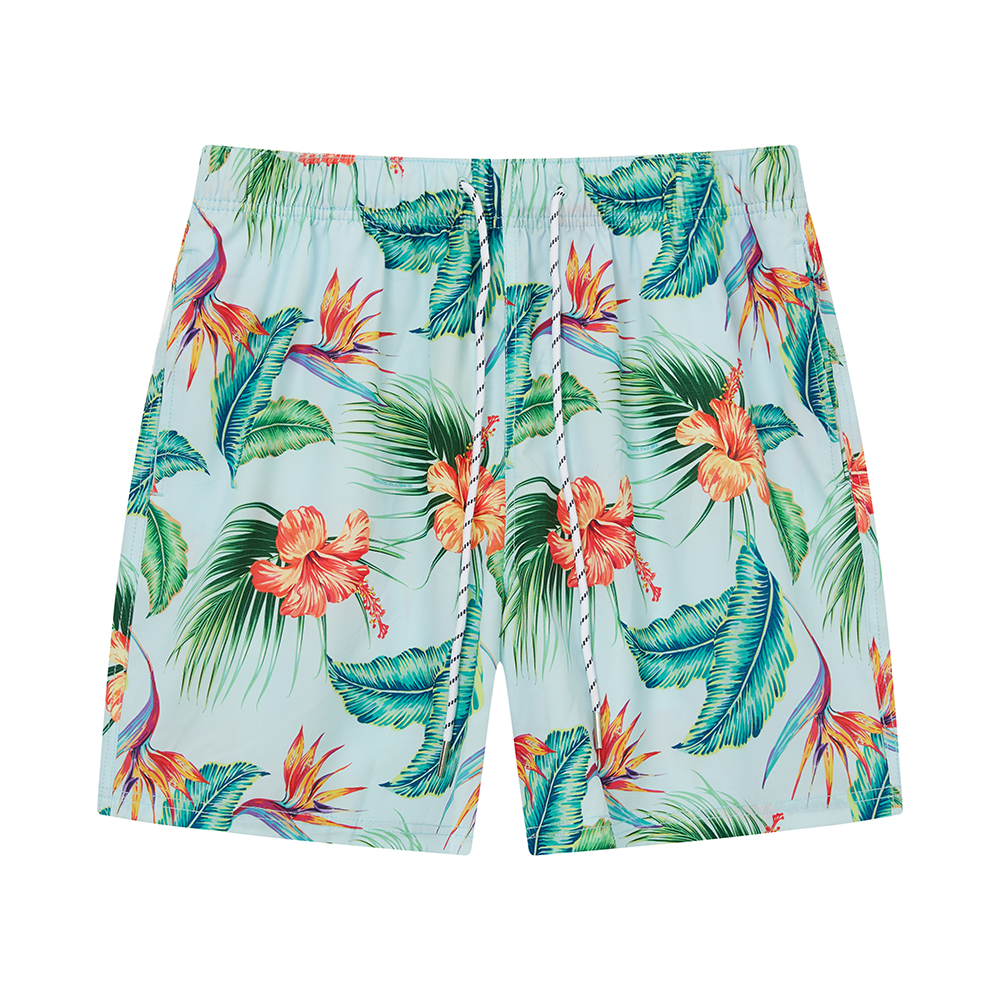 {Hawaii shorts for men}