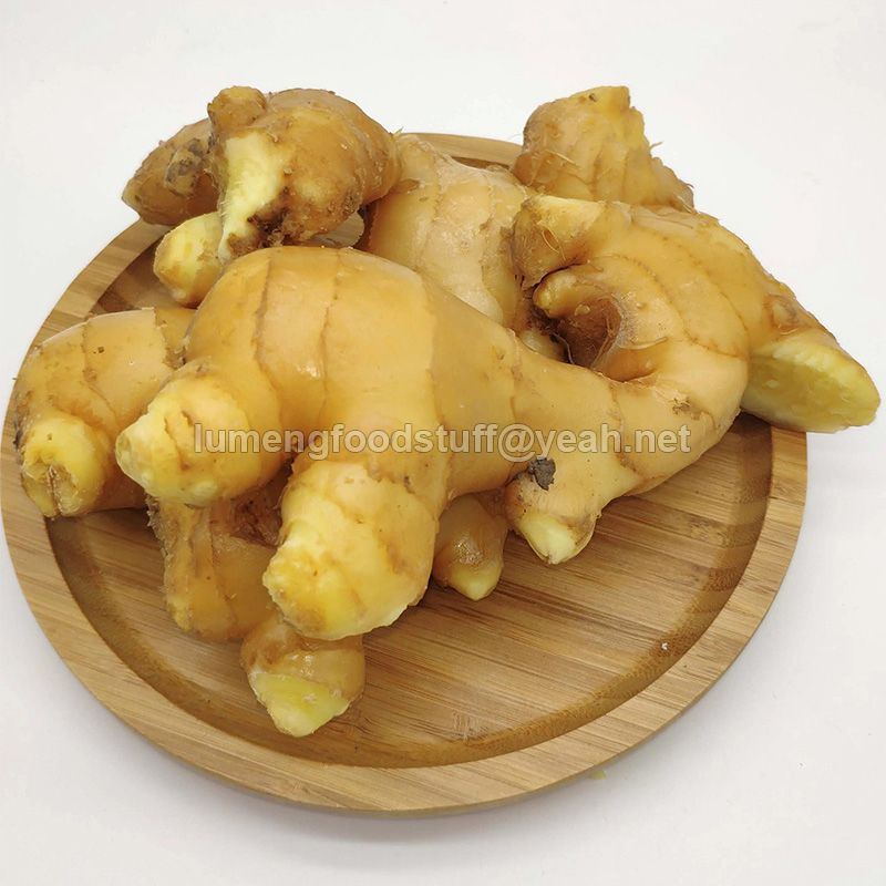 ginger,ginger root,fresh ginger