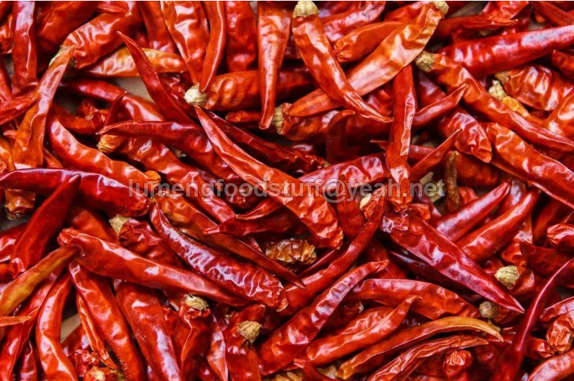 Dried Chili,red chili,chili