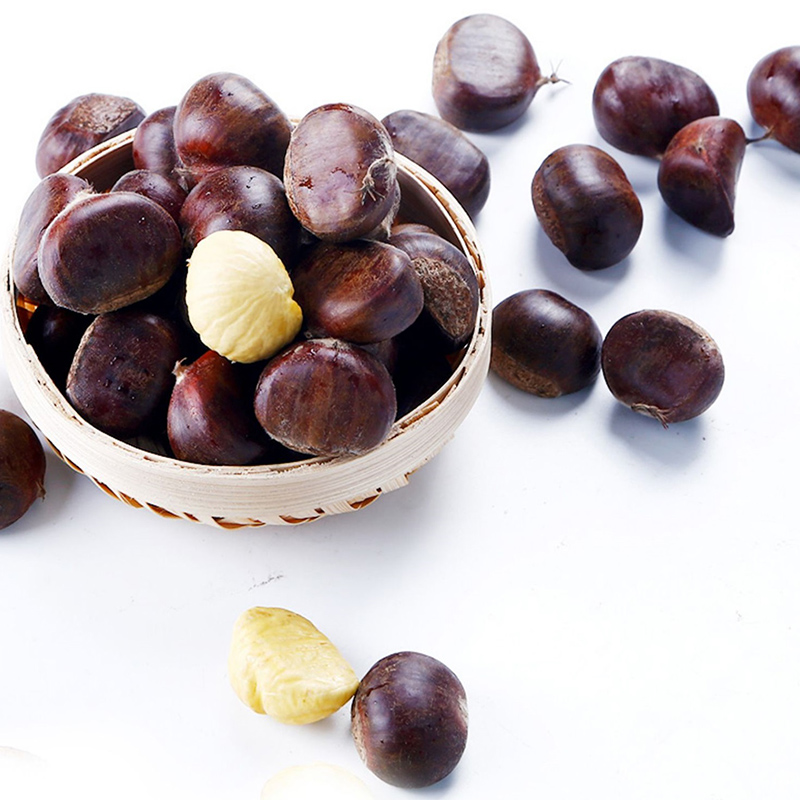 Fresh Chestnut Standard Size (Large Standard 100-120)