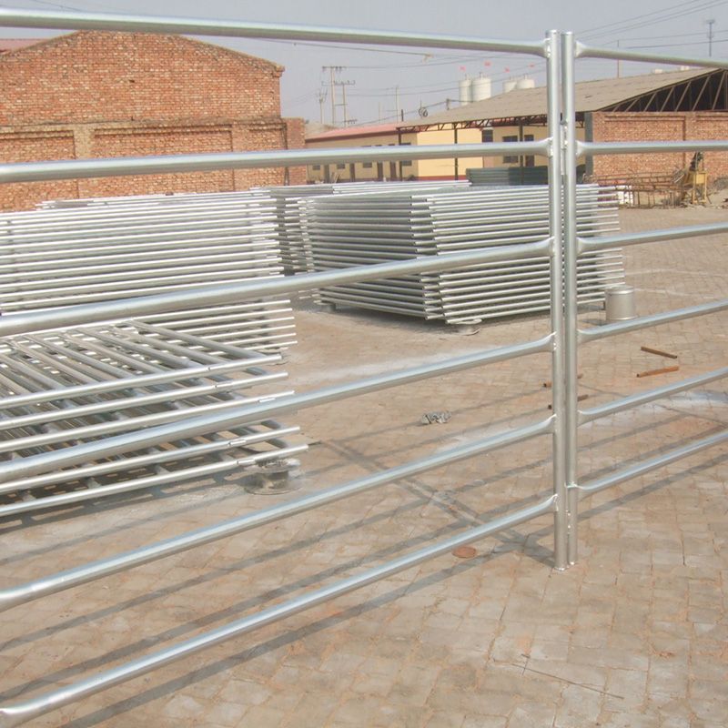 Cattle Fence & Sheep Fence