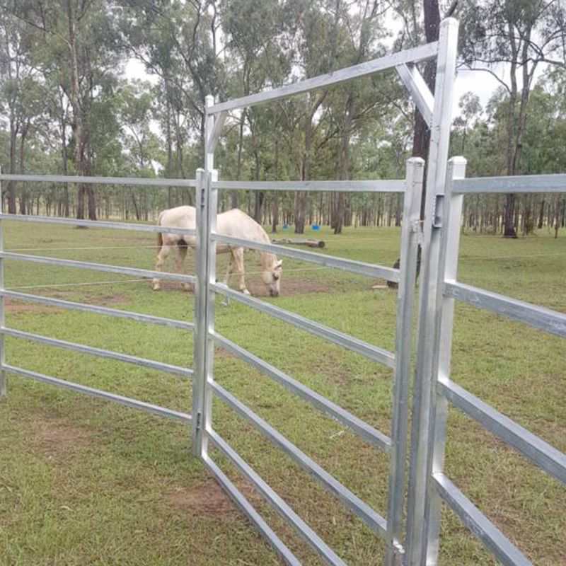 Cattle Fence & Sheep Fence