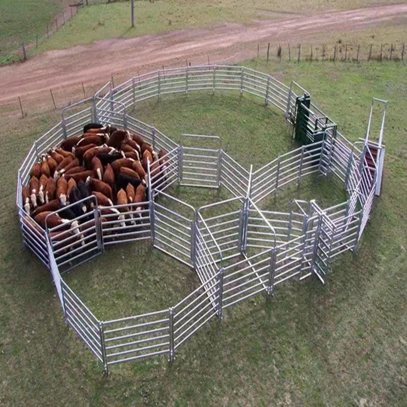 Best Fence for Cattle