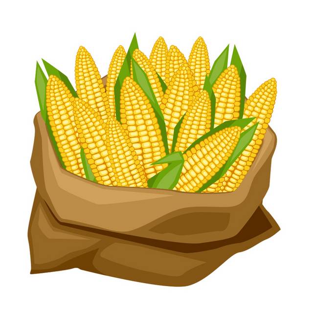 Corn Packaging