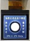 Customized COG LCD