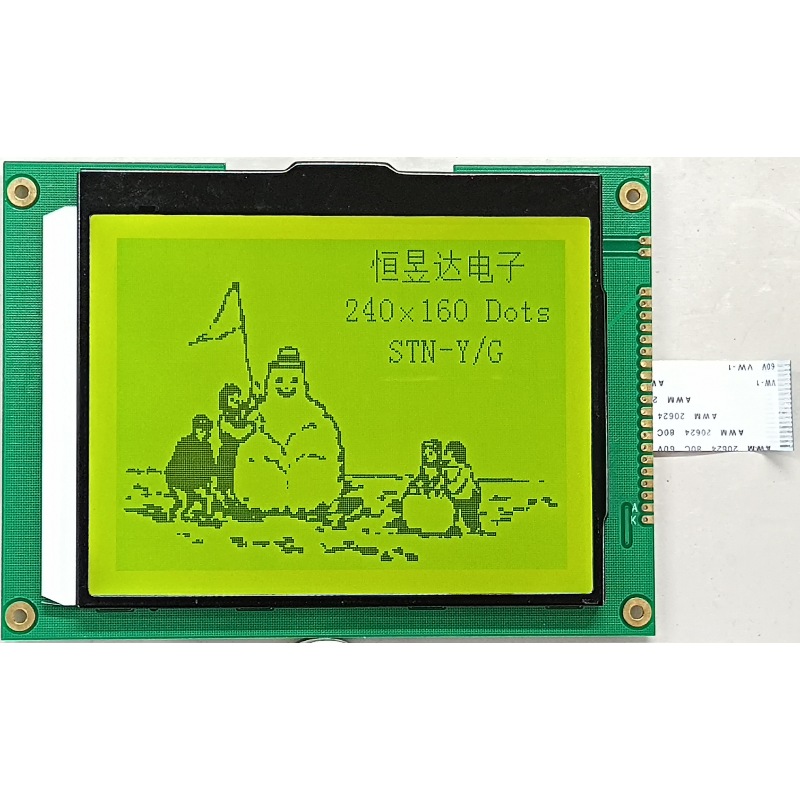 HSG-2401607 Graphic LCD Display