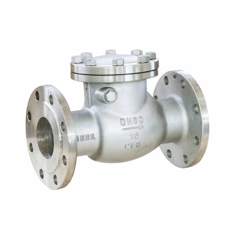 Swing check valve and lift check valve