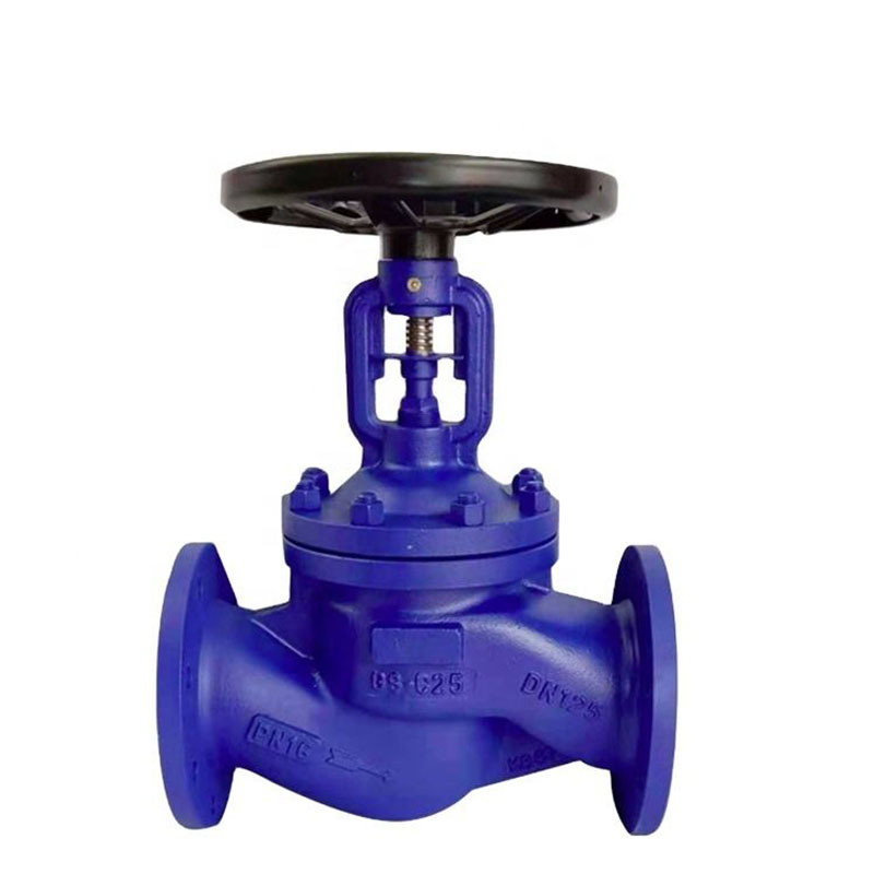 Bellows seal flanged globe valves