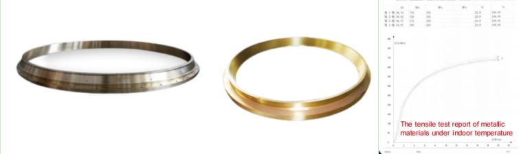 Wearing ring for hydroelectric equipment