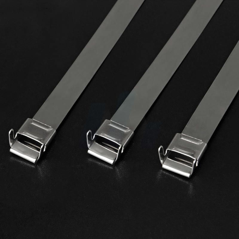 L type Stainless Steel Buckle