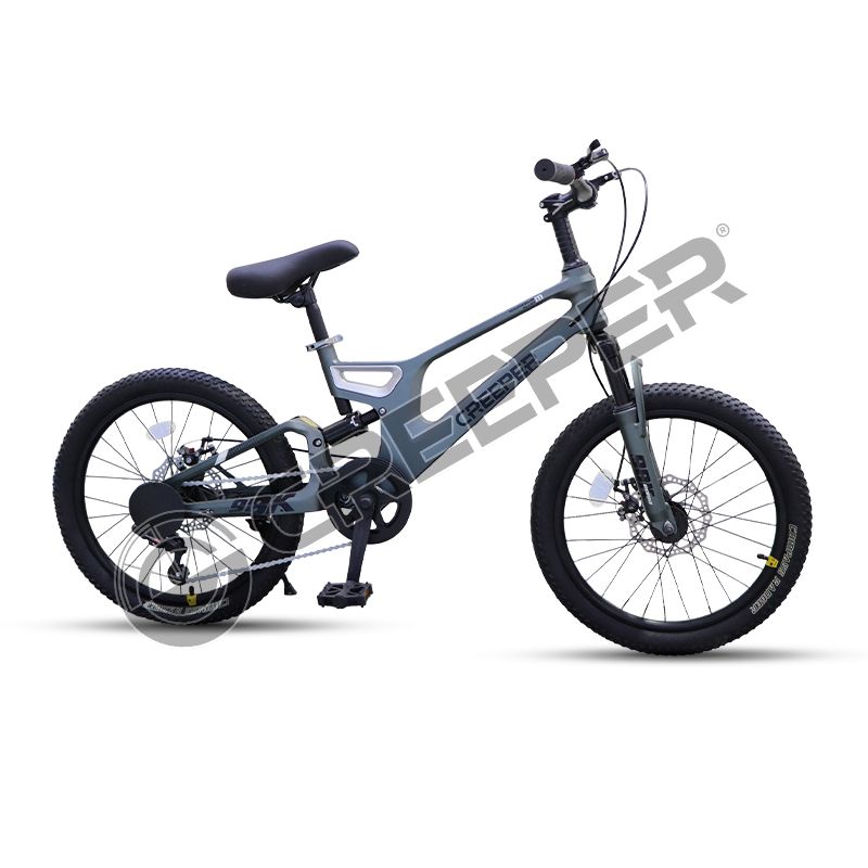 SU-BJQ05 Student bikes
