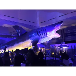 animatronic shark model for theme park