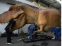 How to maintain the animatronic dinosaurs and products