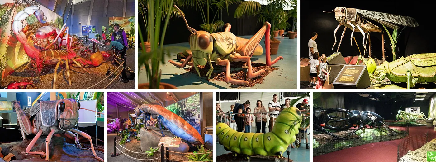 insect exhibition,bug exhibit,animatronic butterfly,animatronic insect
