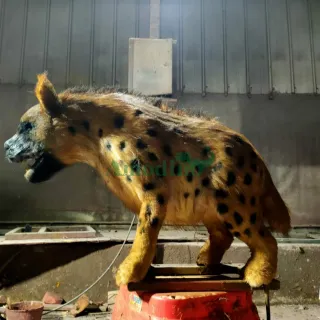 animatronic hyena for exhibition