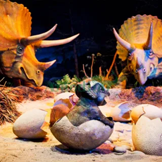 Simulation Triceratops Conbinations