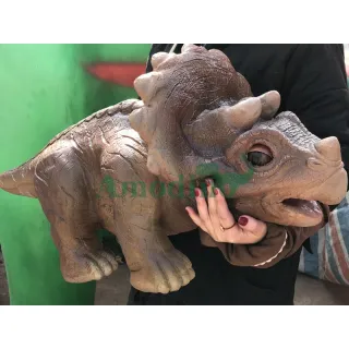 Animatronic Baby Triceratops for Dinosaur Events
