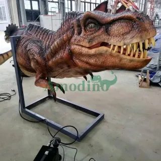 1.5 meter Tyrannosaurus rex head
