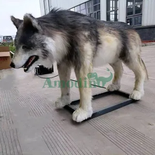 Attractive animatronic wolf realistic wolf
