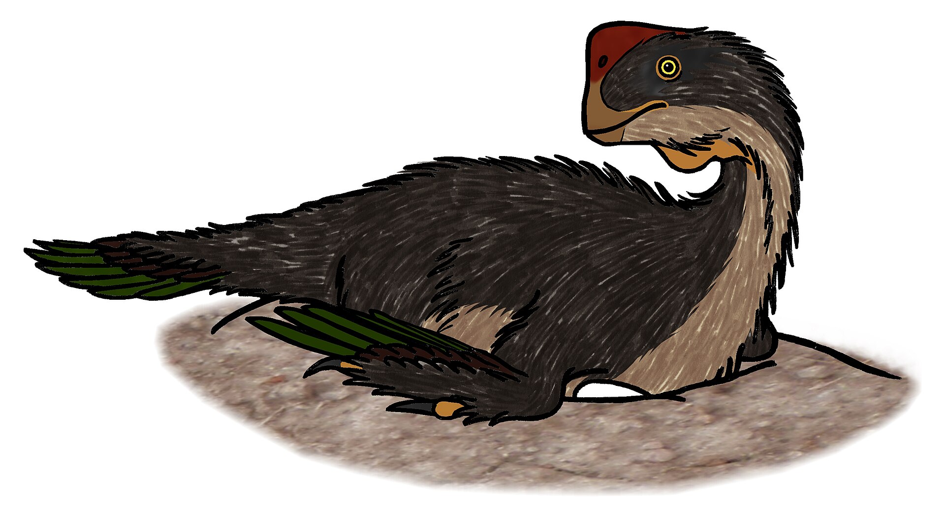 Oviraptor------'Egg Thief'