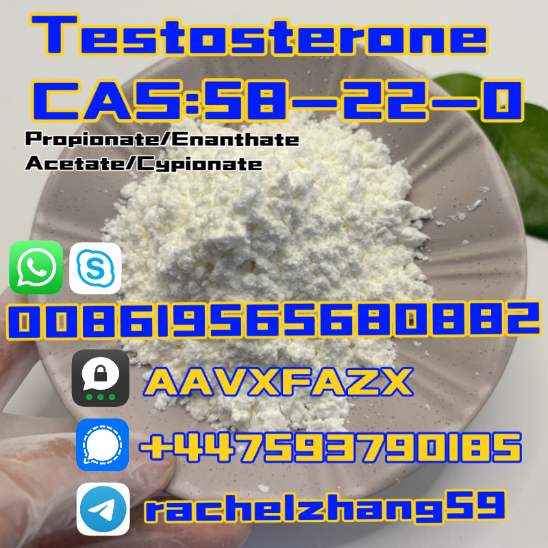 Best raw Steroid Powder 58-22-0 sustanon