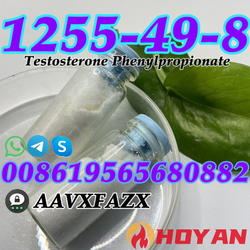 CAS:1255-49-8 Testosterone Phenylpropionate Raw steroids Powder