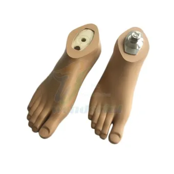 WDF Prosthetic Foot Plastic Core Prosthetic Waterproof Foot