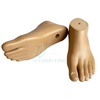 Prosthetic Sach Foot