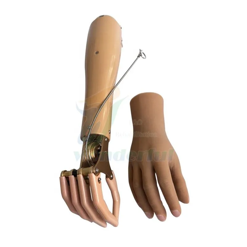 Protesing Hand How Long Does It Take To Learn To Use A Prosthetic Hand?