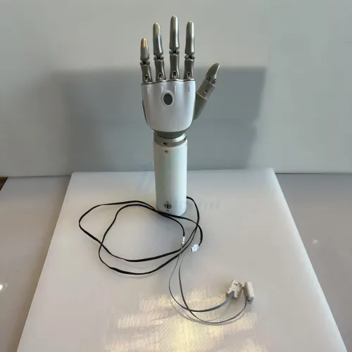 Prosthetic Bionic Hand