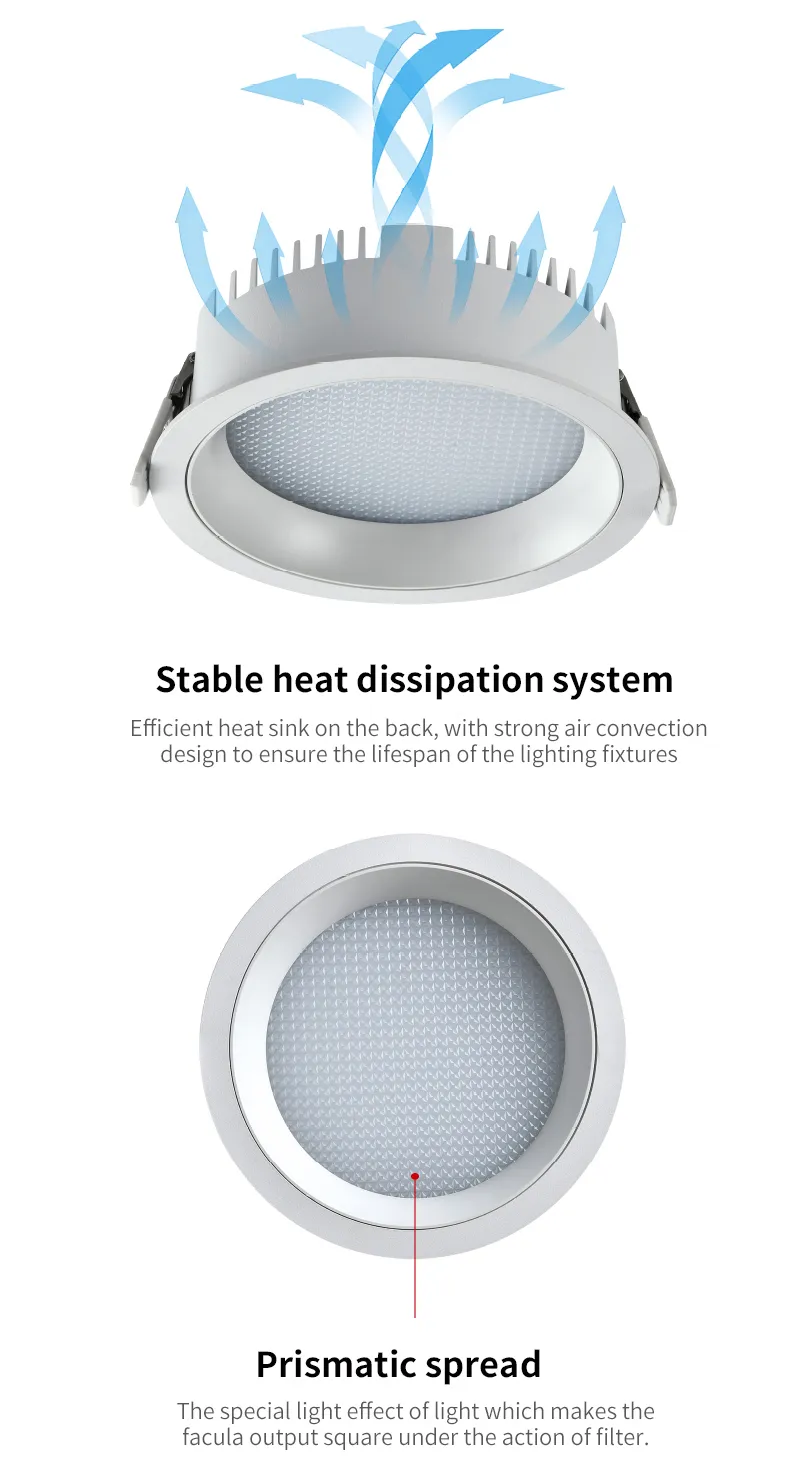 LED Downlight