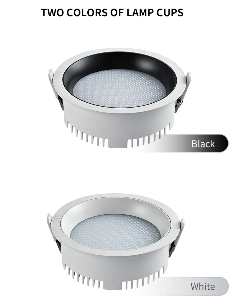 LED Downlight