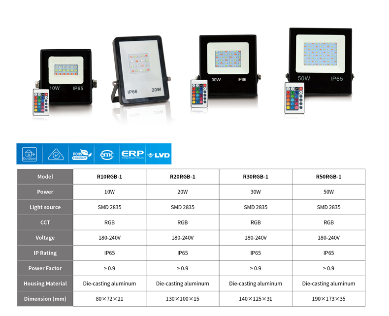 LED Floodlight - RGB DC12