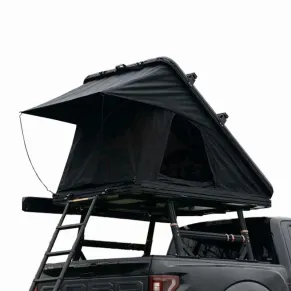 2-4 Person Triangle Aluminum Shell Car Hard Shell Roof Top Tent for Sale