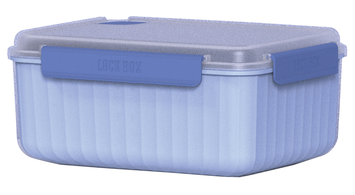 AP-220429-1 Rectangle Food Storage  Container