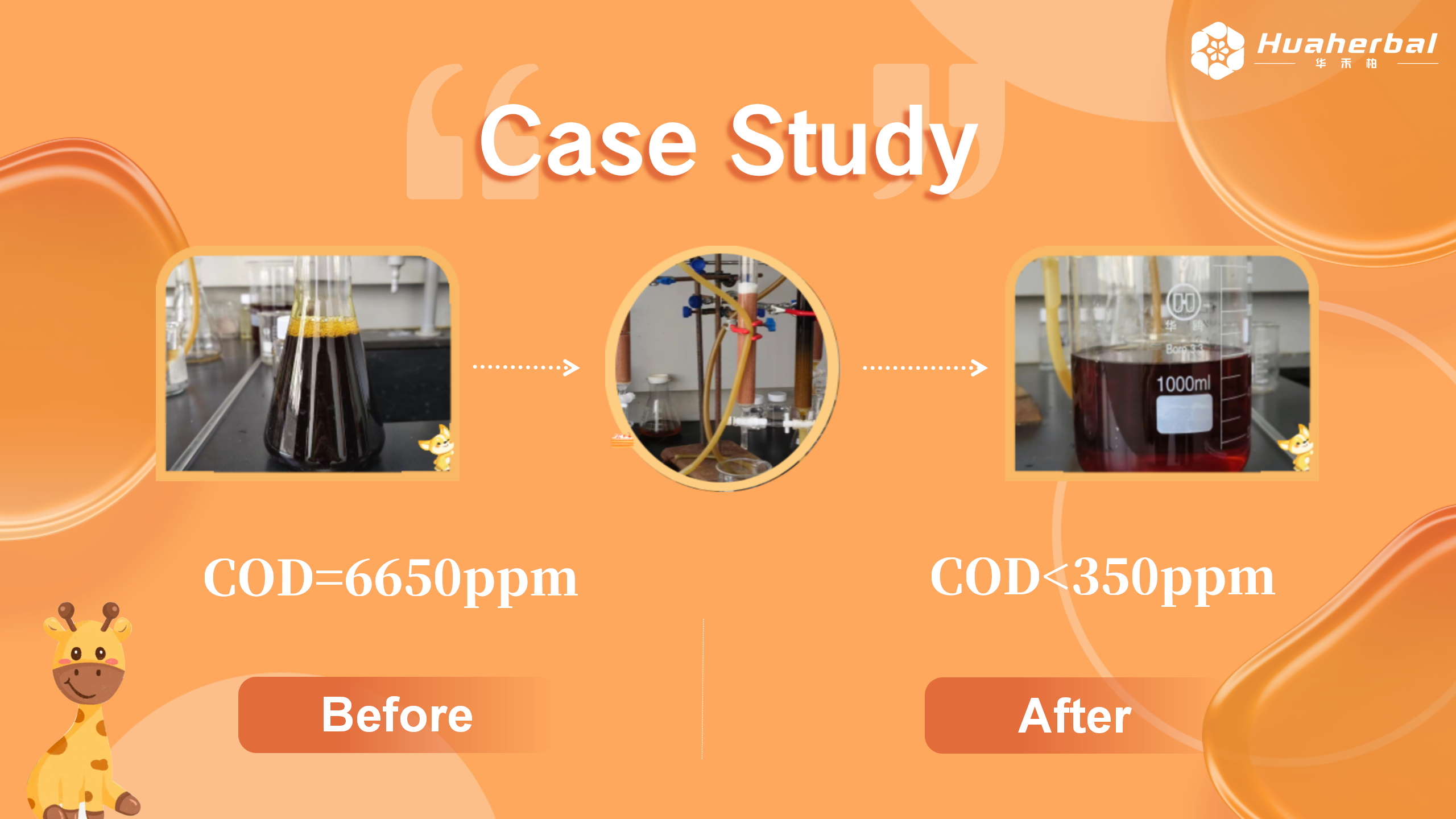 Wastewater treatment for COD  decreasing & decolorization