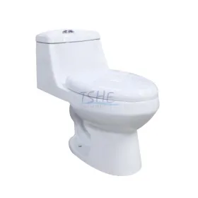 HE-T802 Siphon One Piece Toilet